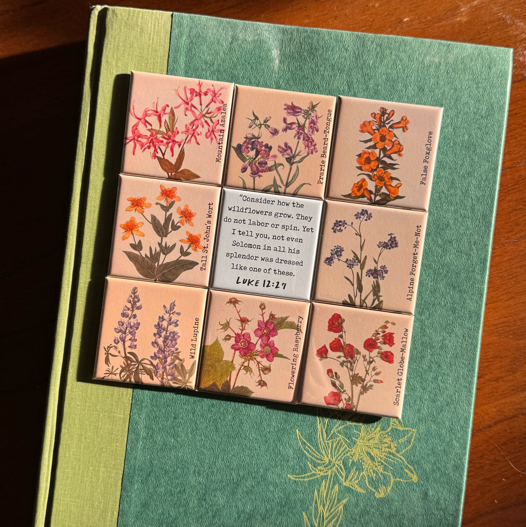 Forget-Me-Not Wildflower Magnet Collection