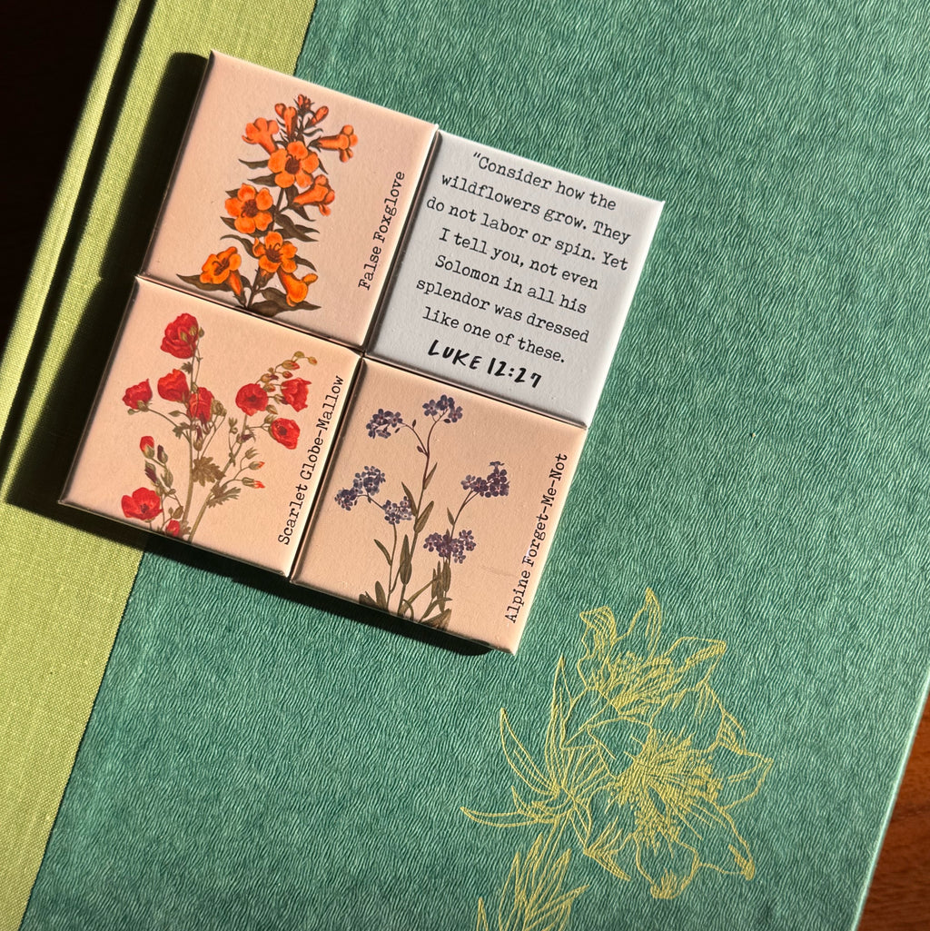 Forget-Me-Not Wildflower Magnet Collection