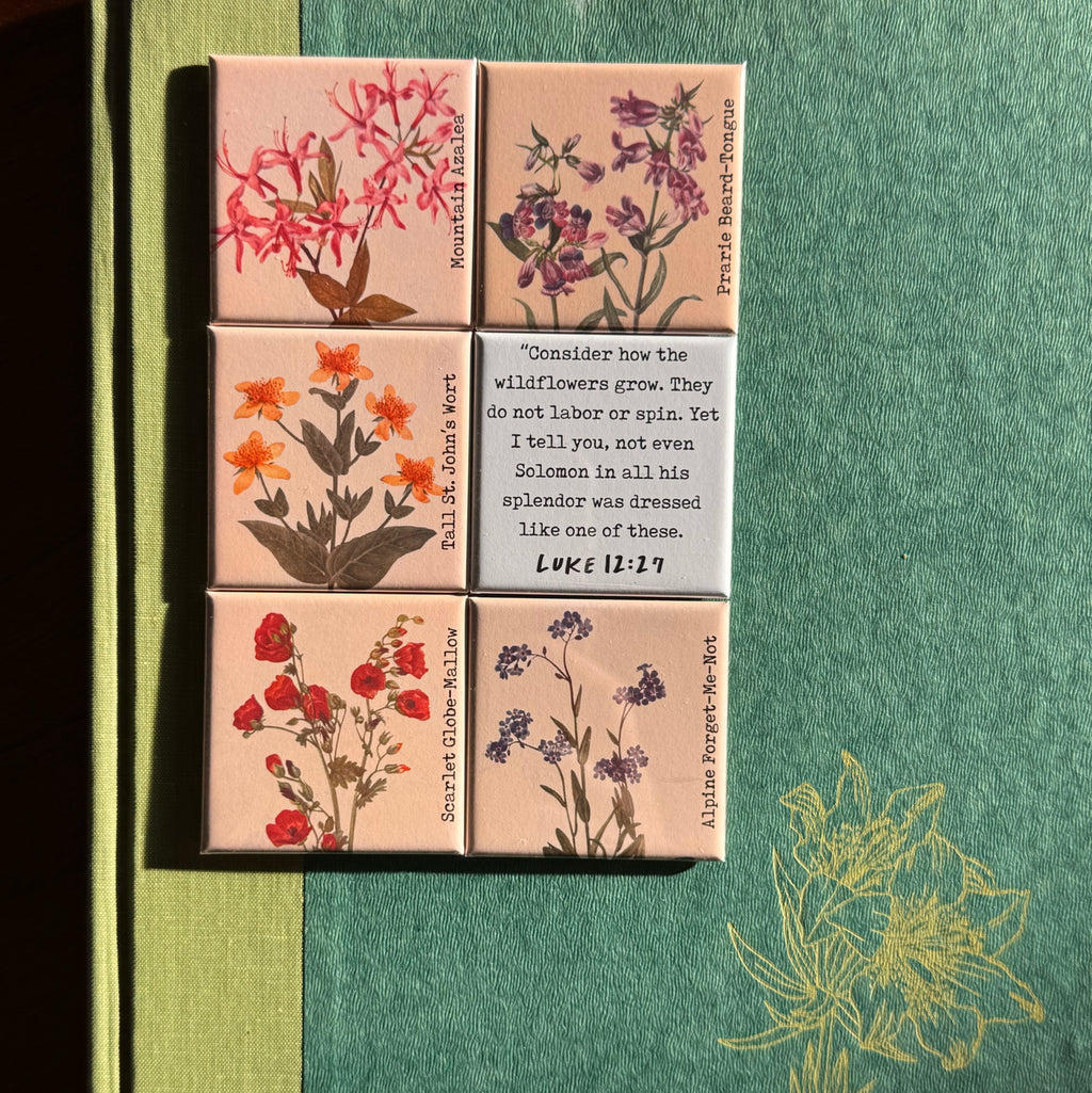 Forget-Me-Not Wildflower Magnet Collection
