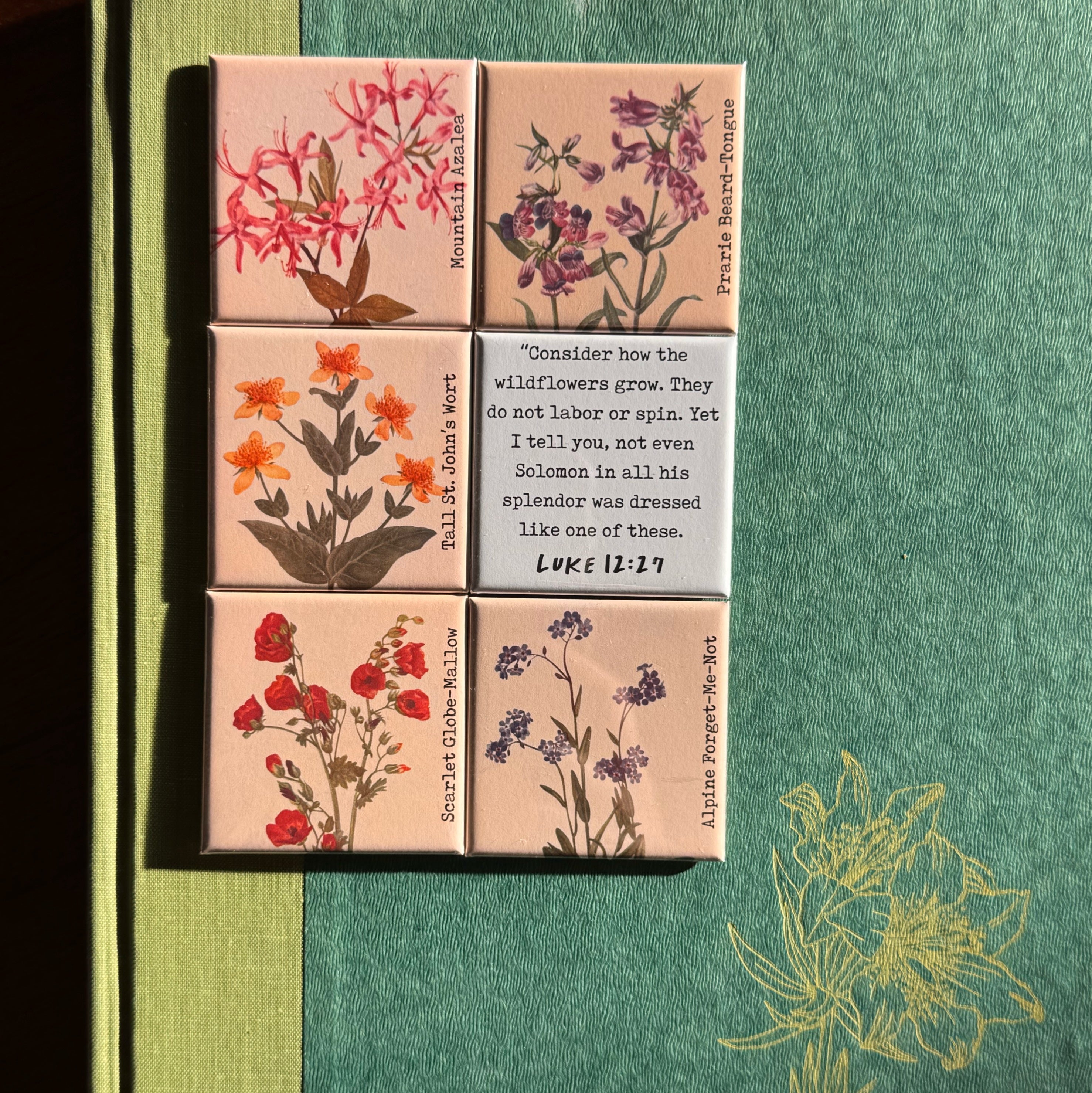 Forget-Me-Not Wildflower Magnet Collection